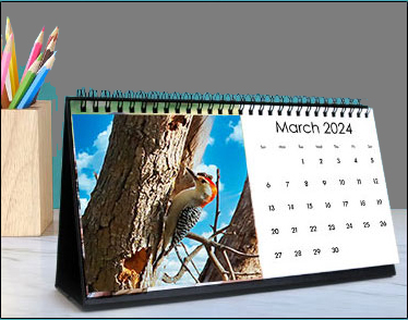 Calendar with stand