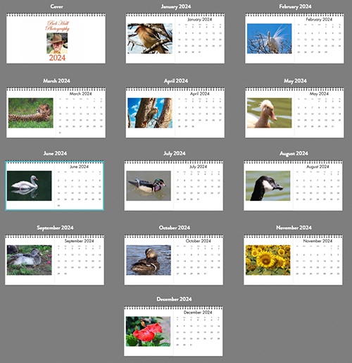 All Calendar Pages